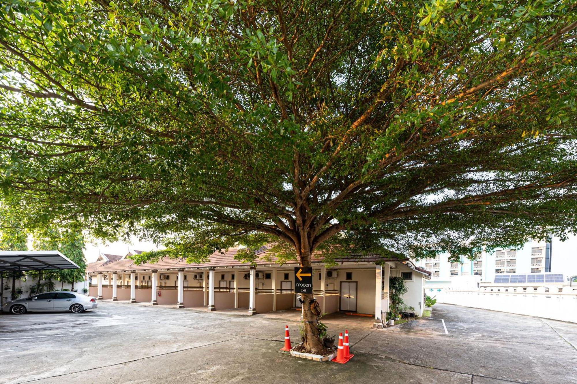 Sleep Hotel - Sha Certified Surat Thani Exterior foto